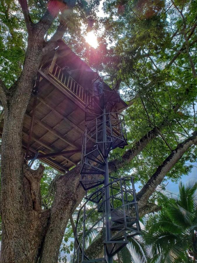 Vila Casa En El Arbol Utica Exteriér fotografie
