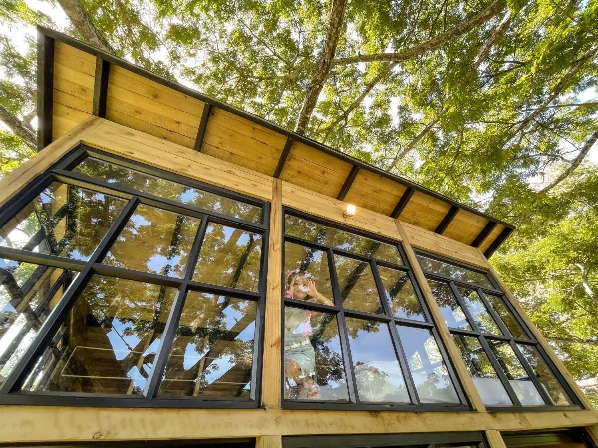 Vila Casa En El Arbol Utica Exteriér fotografie