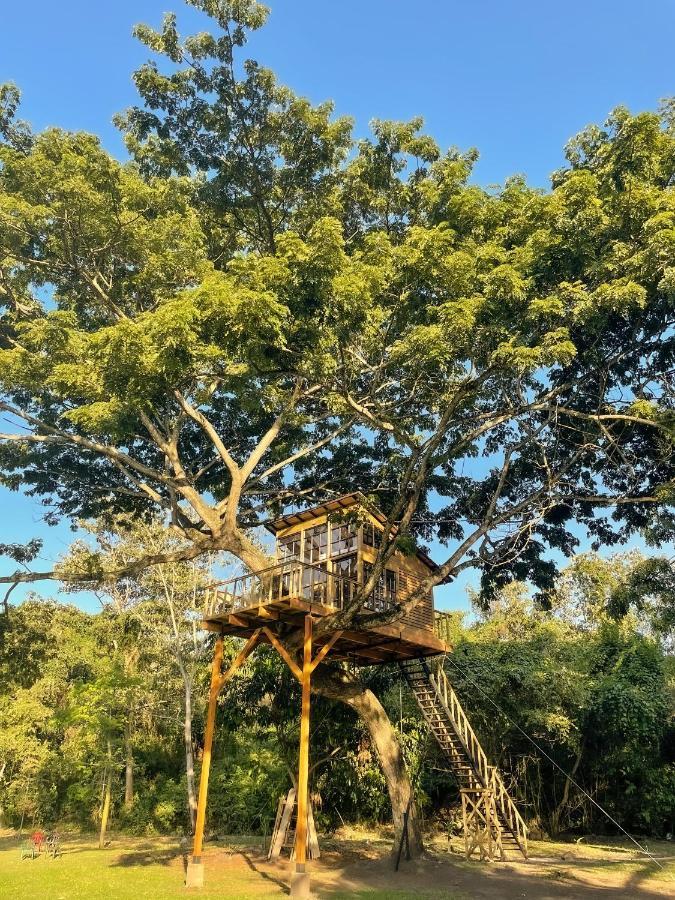 Vila Casa En El Arbol Utica Exteriér fotografie