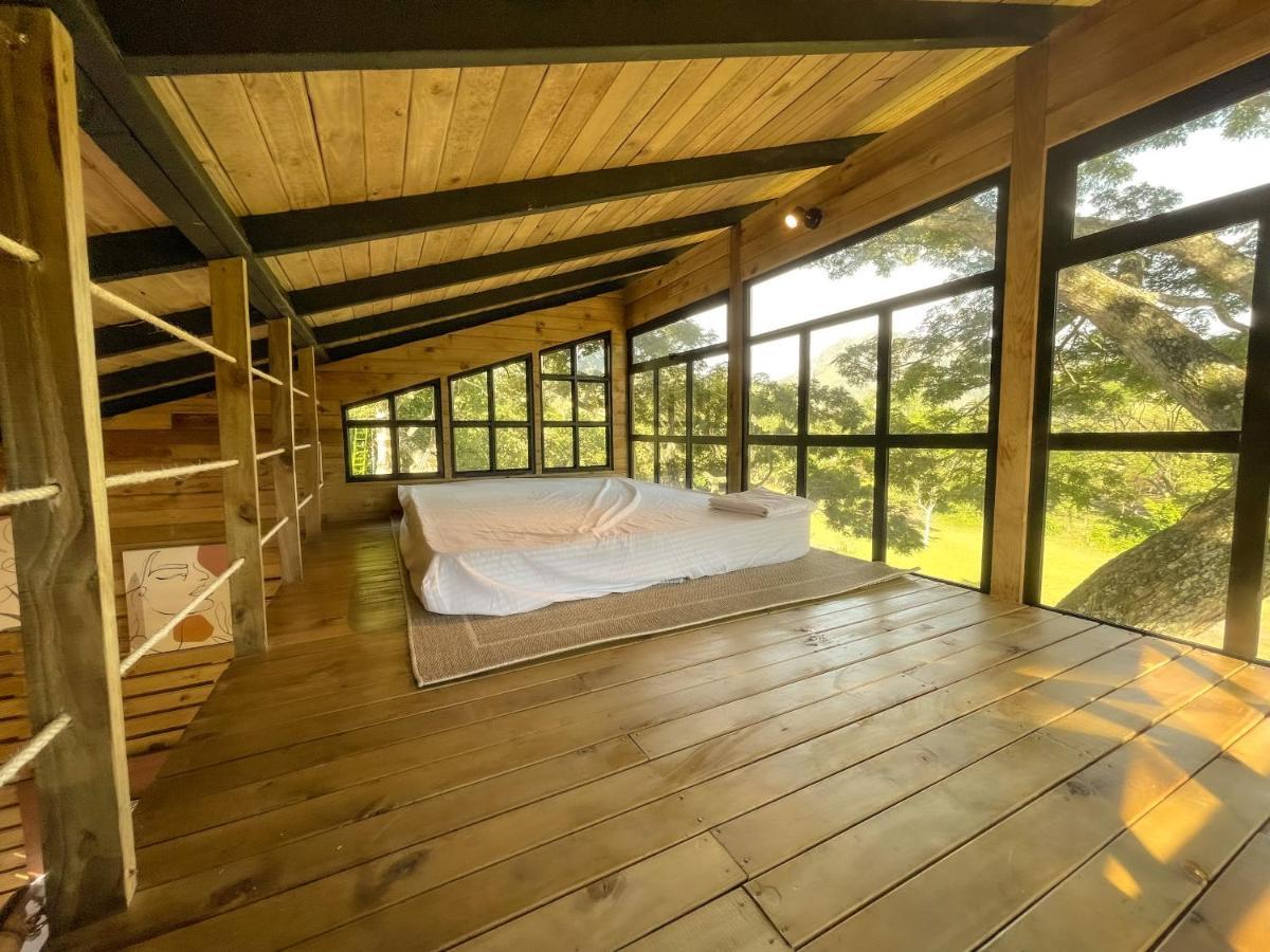 Vila Casa En El Arbol Utica Exteriér fotografie