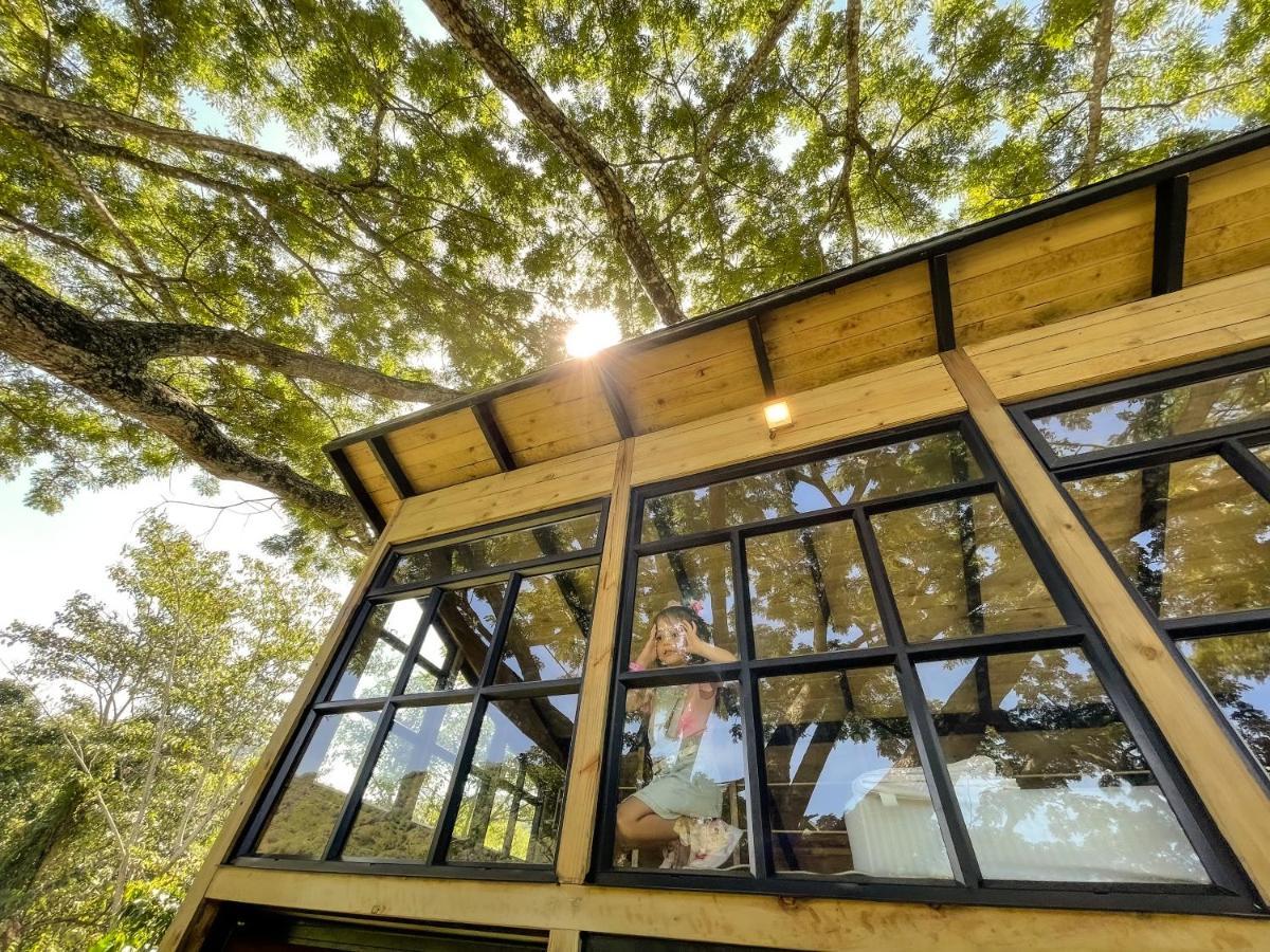 Vila Casa En El Arbol Utica Exteriér fotografie