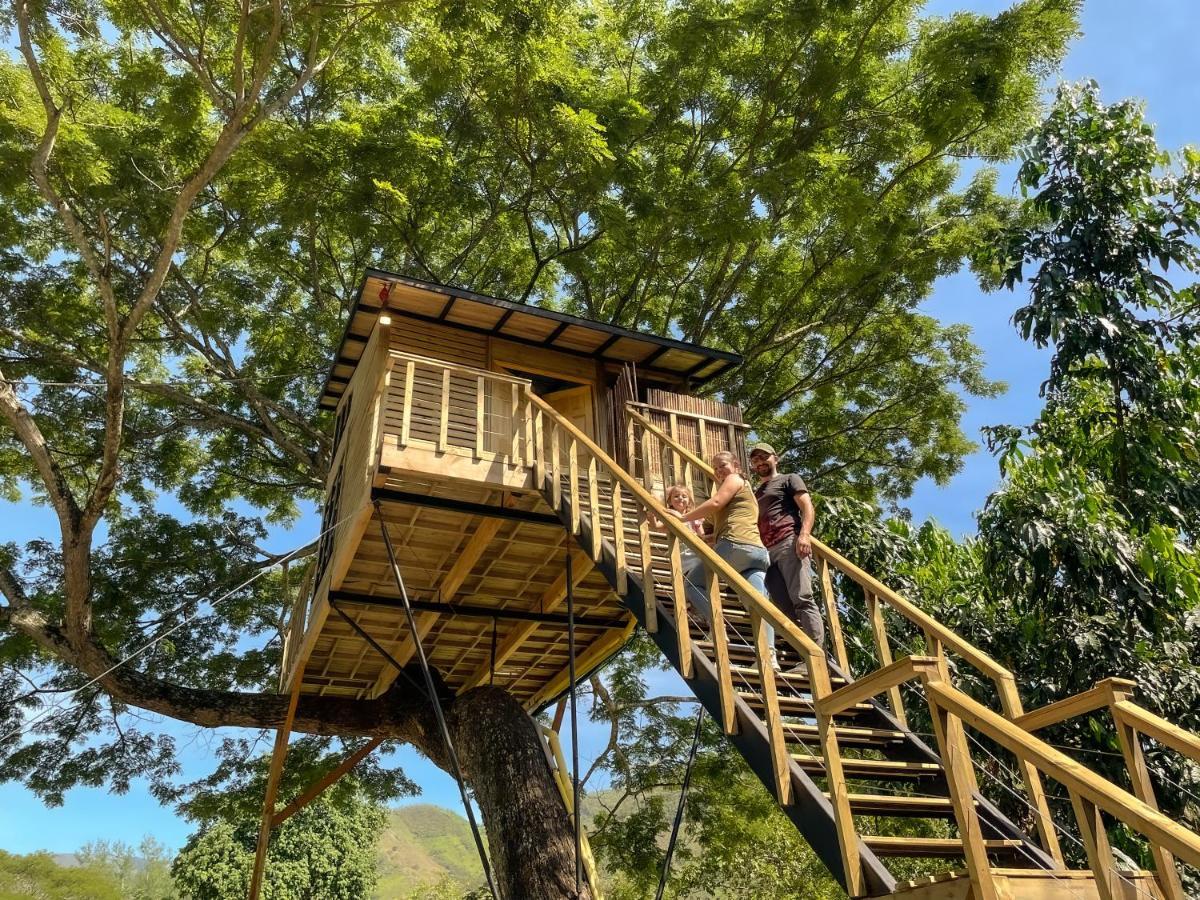 Vila Casa En El Arbol Utica Exteriér fotografie