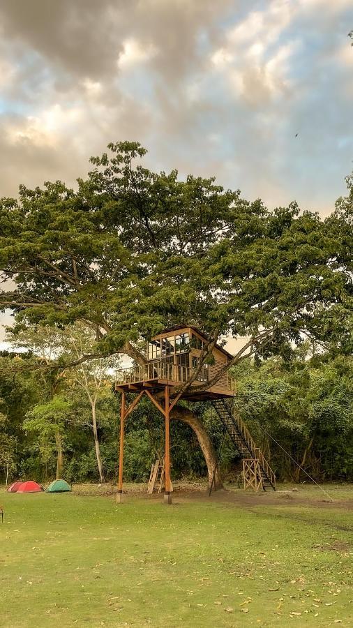 Vila Casa En El Arbol Utica Exteriér fotografie