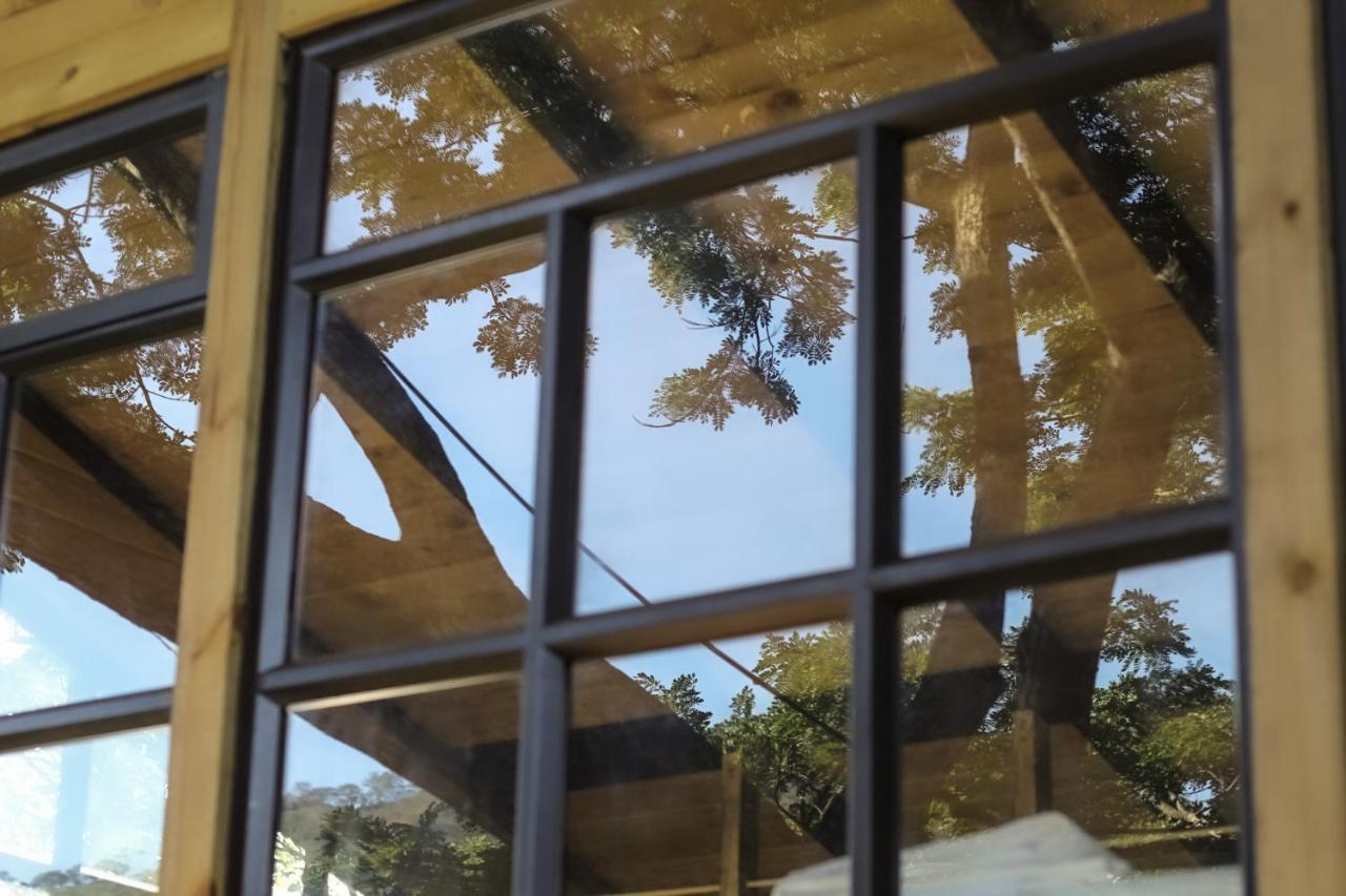 Vila Casa En El Arbol Utica Exteriér fotografie