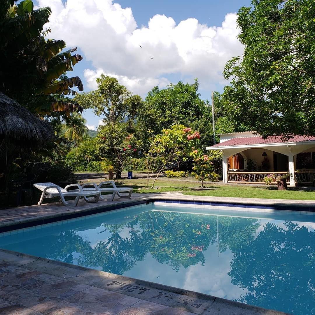 Vila Casa En El Arbol Utica Exteriér fotografie